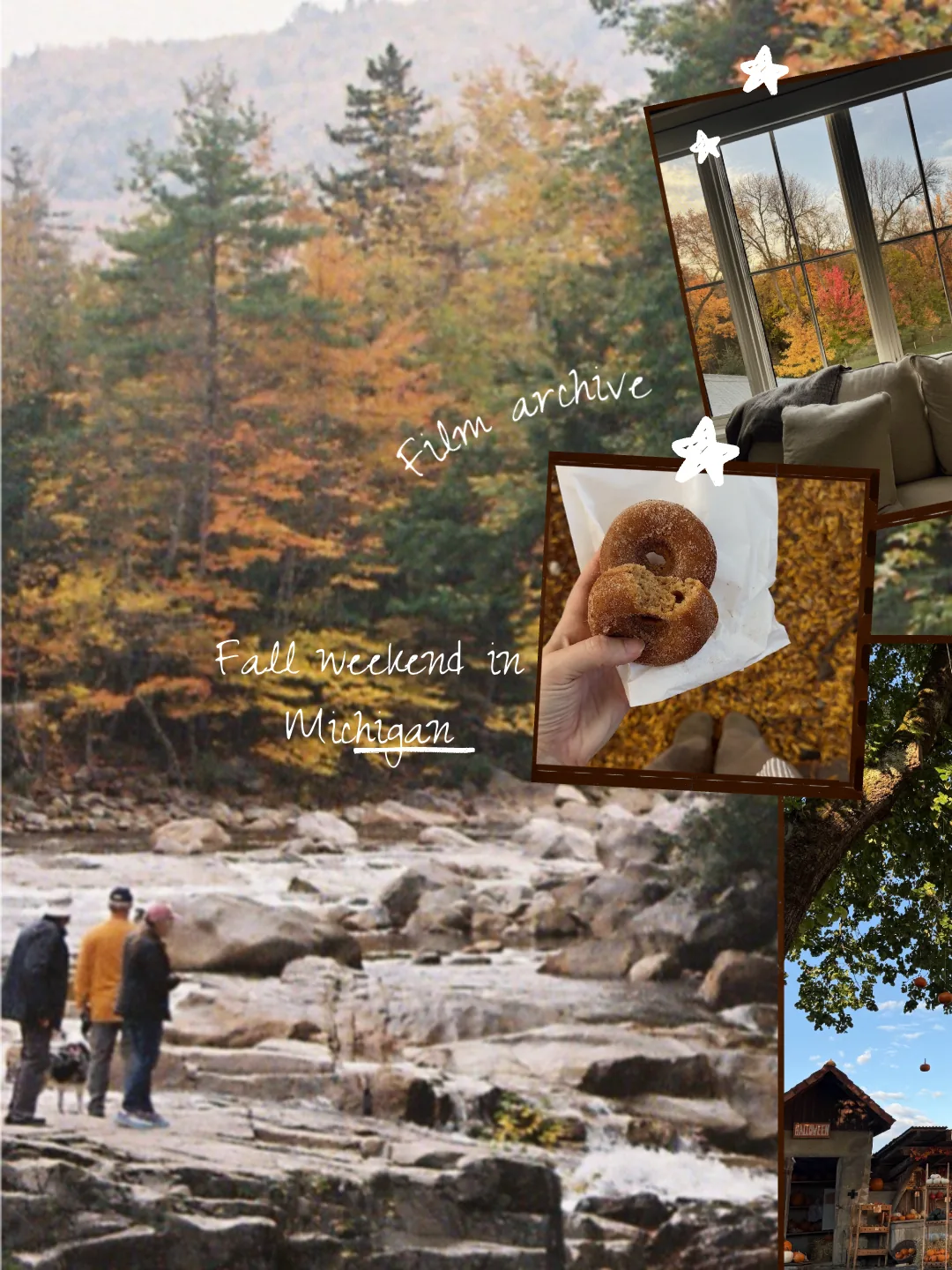 Analog Film 4 template layout in the Exposure app