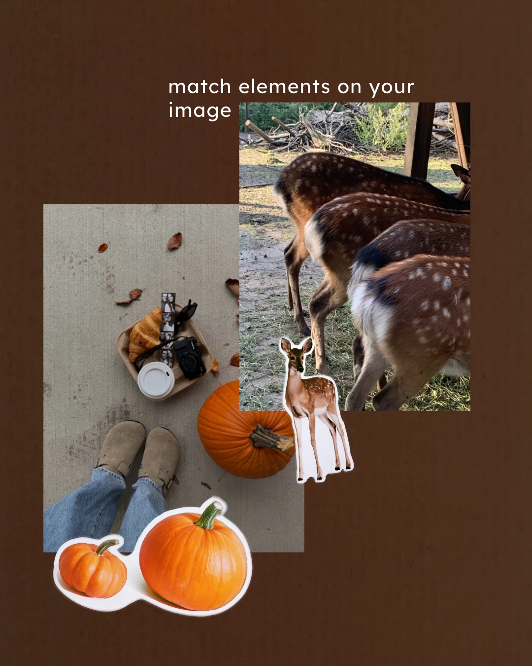 Pumpkin and fawn stickers matching the photos underneath them